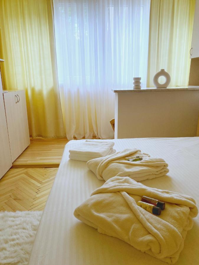 Timisoara Central Apartament Apartment Ngoại thất bức ảnh