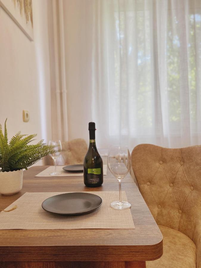 Timisoara Central Apartament Apartment Ngoại thất bức ảnh