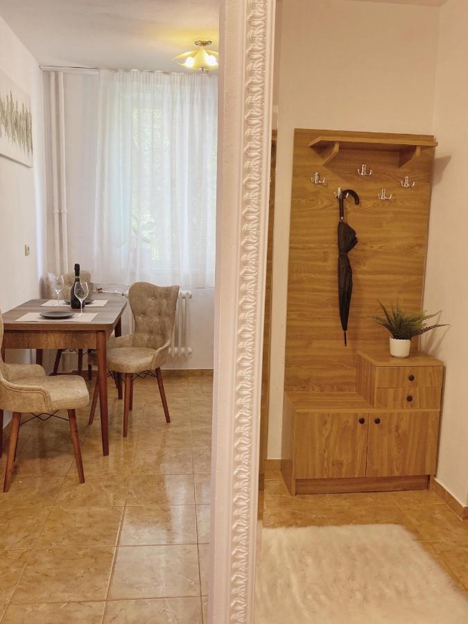 Timisoara Central Apartament Apartment Ngoại thất bức ảnh